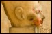Queen Hatshepsut Mortuary